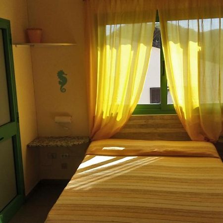 מרינה די קסטנייטו קרדוצ'י Hotel Lupo Di Mare מראה חיצוני תמונה