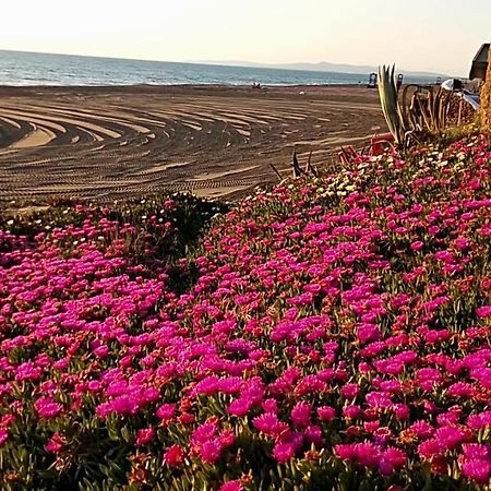 מרינה די קסטנייטו קרדוצ'י Hotel Lupo Di Mare מראה חיצוני תמונה