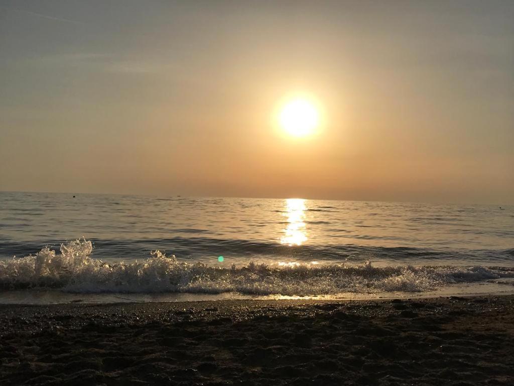 מרינה די קסטנייטו קרדוצ'י Hotel Lupo Di Mare מראה חיצוני תמונה