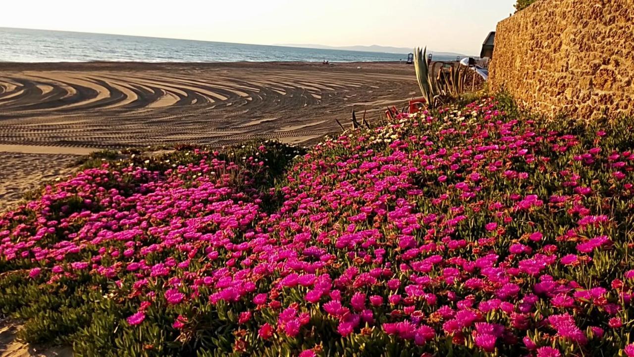מרינה די קסטנייטו קרדוצ'י Hotel Lupo Di Mare מראה חיצוני תמונה