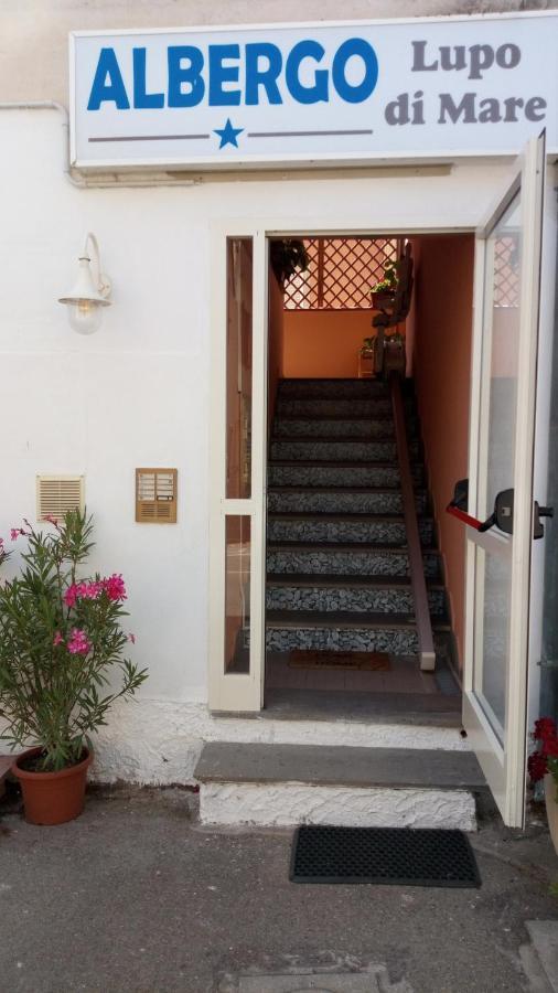 מרינה די קסטנייטו קרדוצ'י Hotel Lupo Di Mare מראה חיצוני תמונה